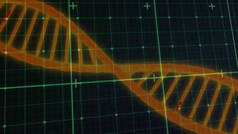 Animation-of-dna-strand-spinning-over-data-processing-and-grid