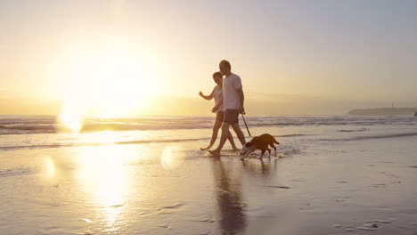 happy couple walking dog on beach lifestyle steadicam shot