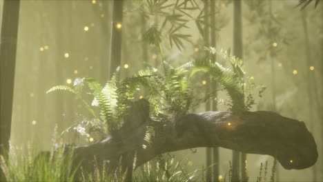horizontally bending tree trunk with ferns growing, and sunlight shining