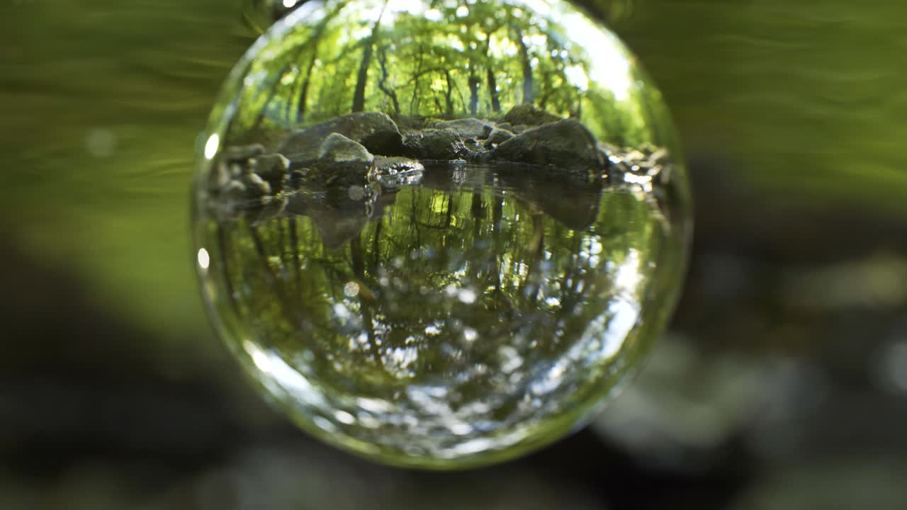 자연의 미래입니다.