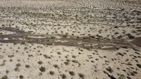 tilt up drone footage of dry mountainous terrain and dried up rivers