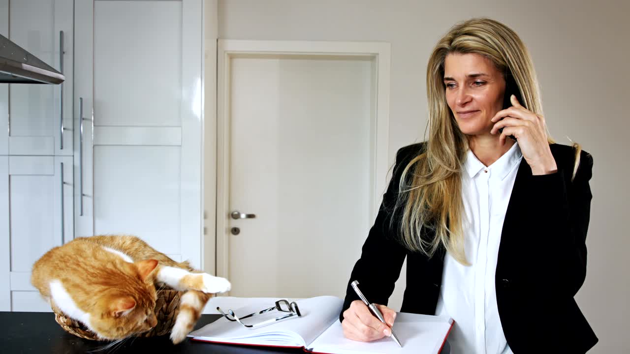 Business Woman Talking on the Phone with a Cat in a Basket Beside Her