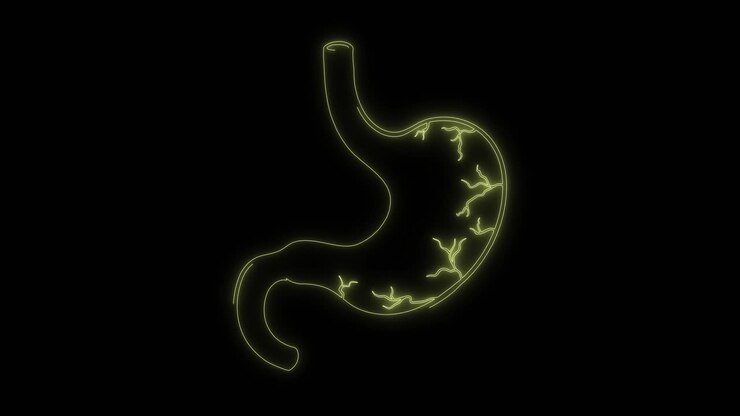 Animated Neon Outline of Human Stomach with Internal Activity