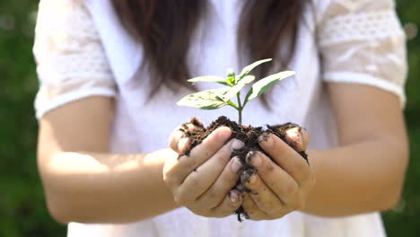 woman holding plant sprout and move towards camera