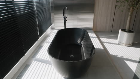 Modern Black Bathtub in a Stylish Bathroom