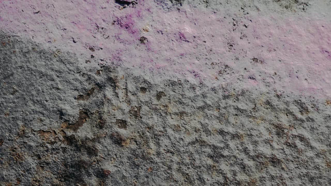 다채로운 녹말 - 짧은 루프 순서