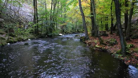 Flying-above-a-river-during-summer