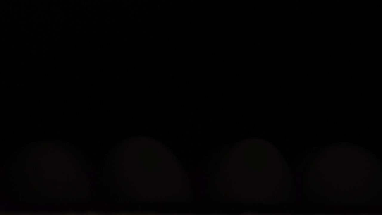 cartón de huevos de pollo blancos siendo iluminado por un reflector en una habitación oscura, cerca