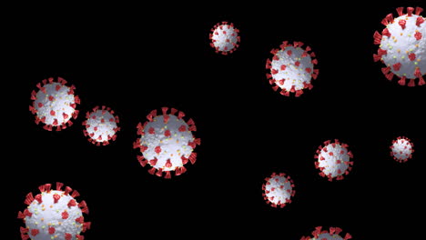 animación de células de coronavirus que giran sobre un fondo negro