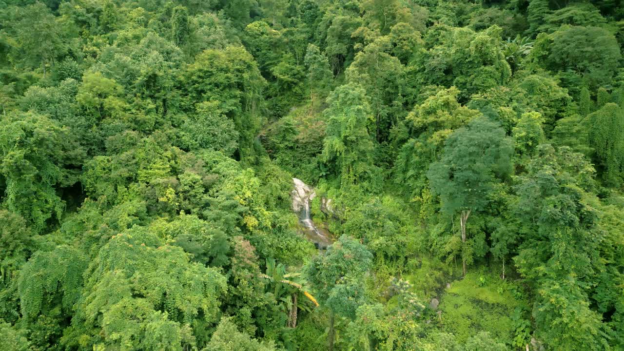 imágenes aéreas de 4k de las hermosas montañas y terrazas de arroz de ban pa pong piang en doi ithanon junto a chiang mai, tailandia en un día nublado y soleado