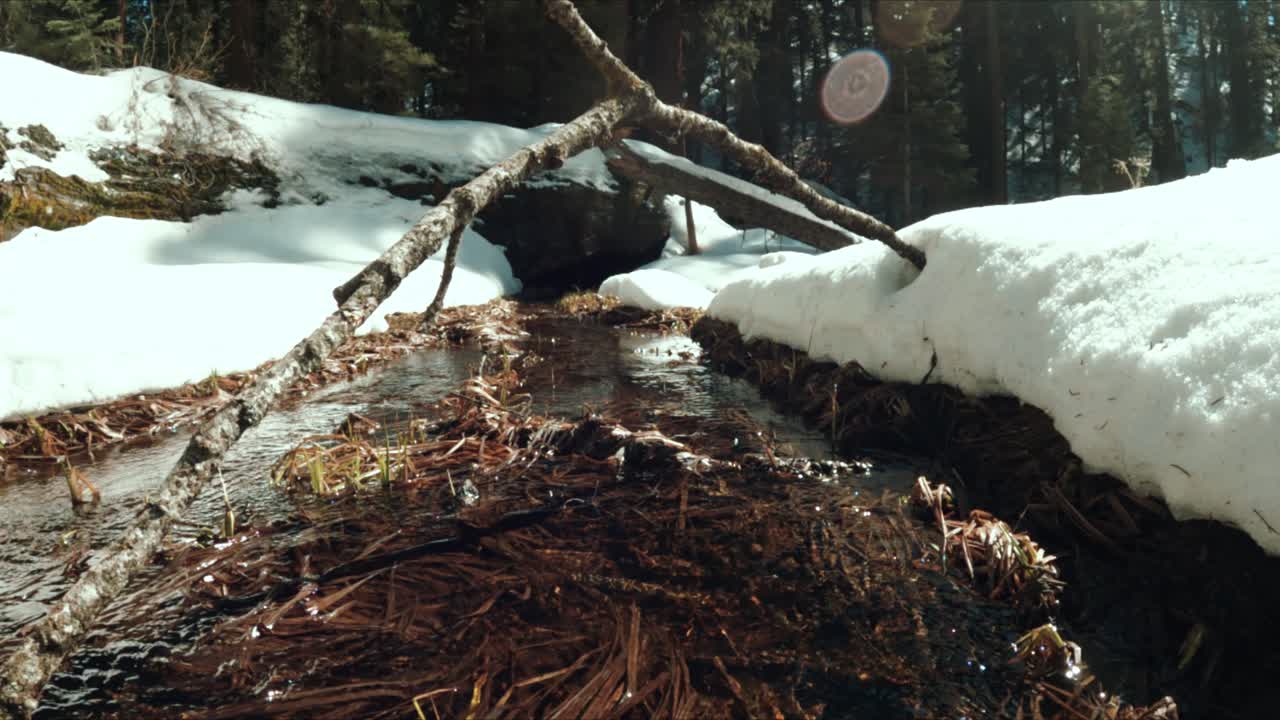 눈  ⁇ 인 숲 에 있는 물줄기