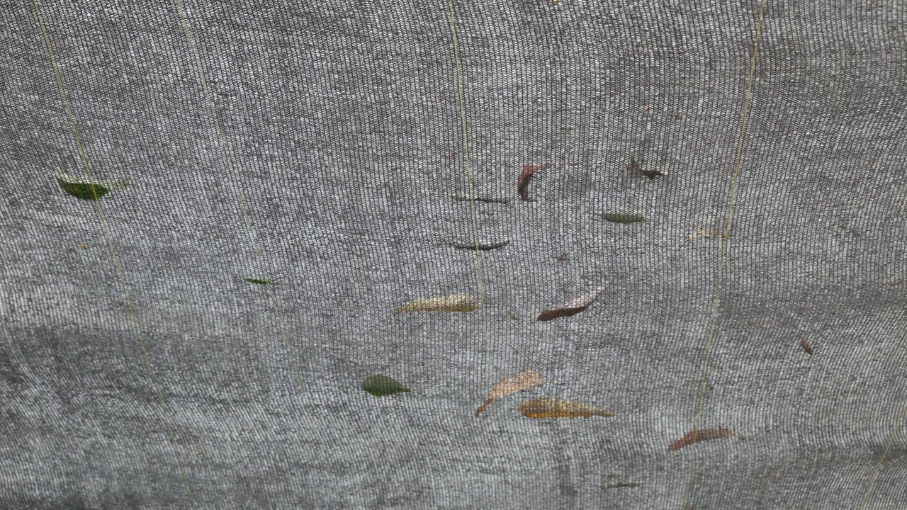 Dry Fallen Leaves Scattered on Shade Netting