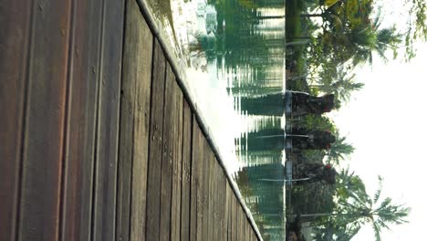 Vertical-slow-motion-dolly-shot-of-a-pool-overlooking-the-wooden-path-and-lie-with-trees-and-palm-trees-in-the-background-in-bali-indonesia