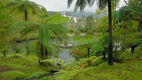 Ruhiges-Grün:-Kleiner-Bach-Im-Terra-Nostra-Park,-São-Miguel,-Azoren