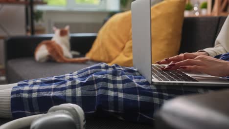 woman working on laptop with cat relaxing in background close up of a woman typing on a laptop while sitting on a couch in plaid pajamas in the background a ginger and white cat lounges peacefully adding warmth to the cozy home scene