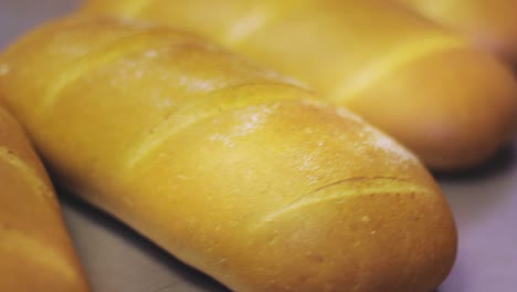 Baked-bread-on-production-line-at-factory.-Freshly-white-bread-background