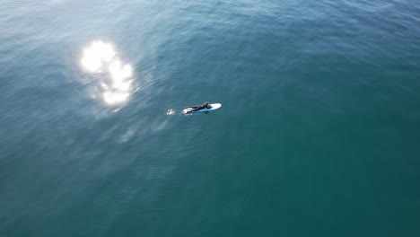 surfer on surfboard floating in calm ocean - aerial top down
