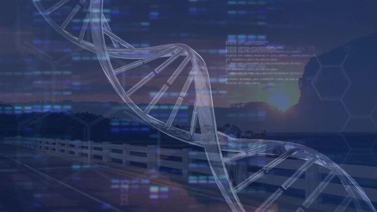 Animation of data processing and dna over sunset