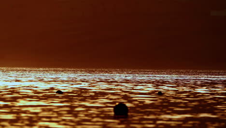 blurred golden sea at sunset, sun reflects and shines on the waves with bokeh, illuminating the golden sea