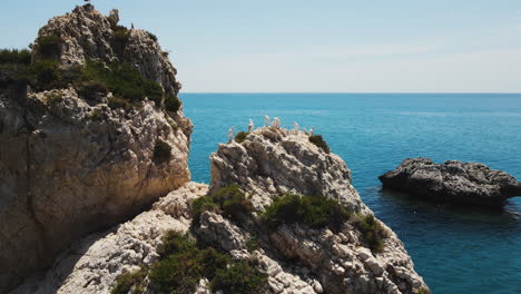 Aerial-pan-of-seagulls-perched-on-Petra-tou-Romiou,-Aphrodite's-Beach,-Cyprus