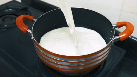 verter leche de coco en la olla en la estufa para cocinar