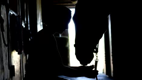 against the light, outlines, figures of a girl and a horse. the girl is feeding her horse from the hand. in the stable