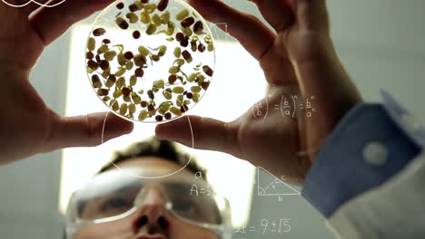 scientist studying beans