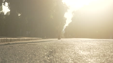 people running in a park at sunset