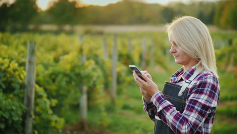 a woman farmer uses a smartphone on the background of his vineyard small business owner