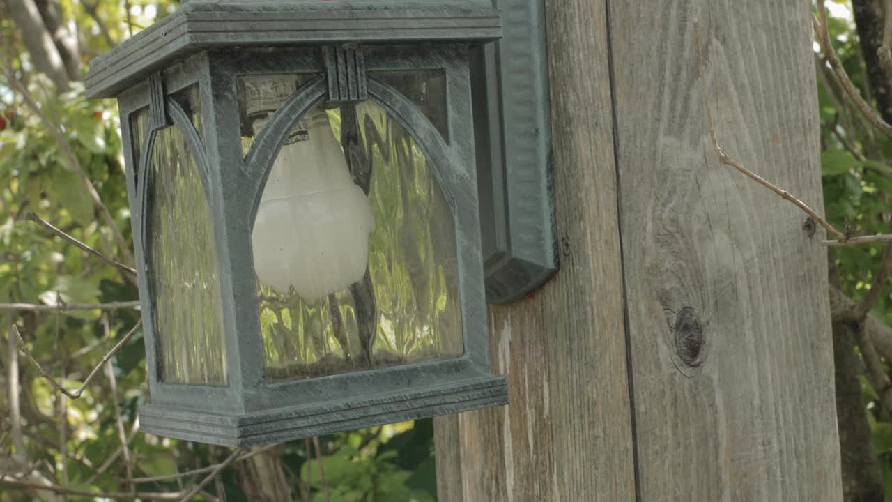 saliendo de detrás de un manzano para revelar una hermosa cabaña de madera en medio de la superficie del huerto en el centro de bodas y retiros strathmere en ottawa, canadá