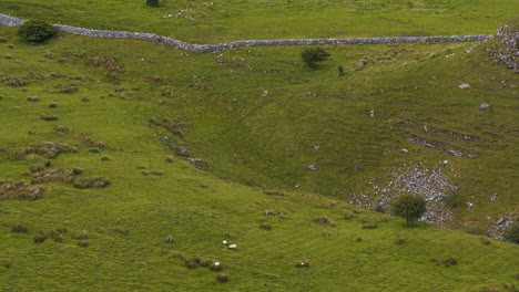 Zeitraffer-Der-Ländlichen-Landwirtschaftlichen-Naturlandschaft-Während-Des-Tages-In-Irland