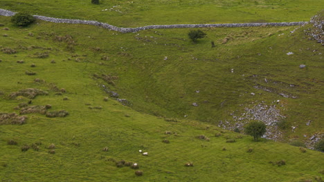 lapso de tiempo del paisaje natural agrícola rural durante el día en irlanda