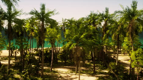 tropical beach paradise with lush palm trees