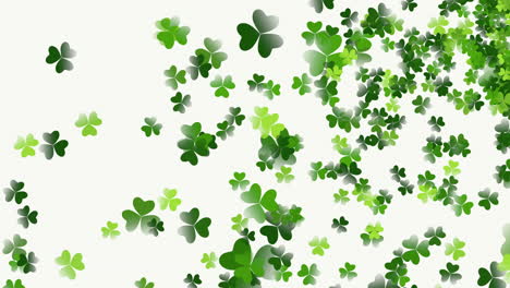 animation saint patricks day with motion green shamrocks 7