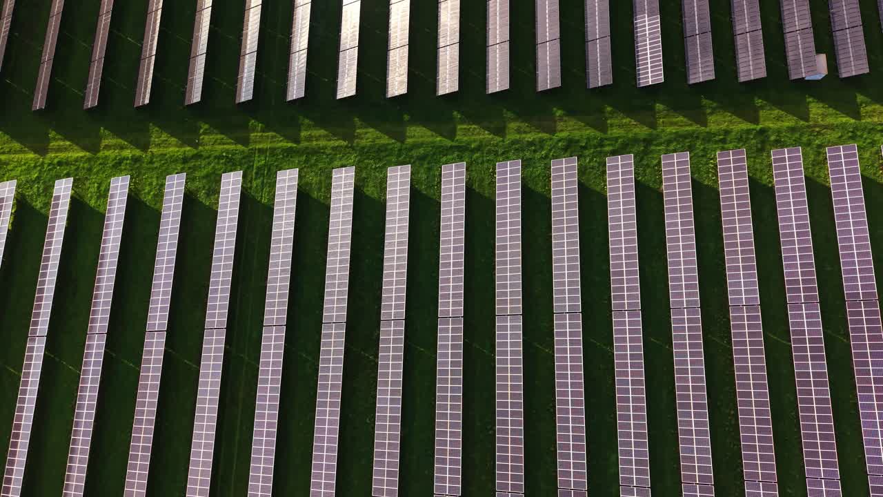Solar panels fill a green field under bright sunlight from above