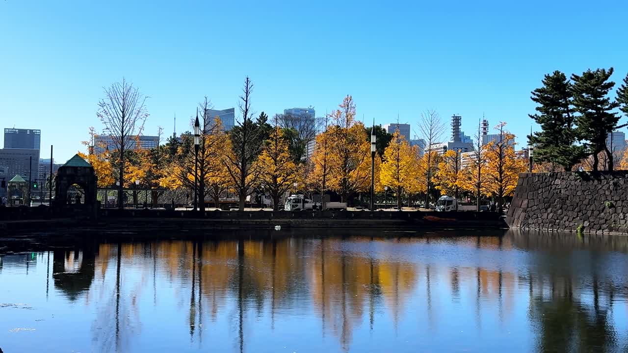 밝은 가을의 나무는 은 날 도쿄의 황제 궁전 근처의 조용한 하천에 반사됩니다.