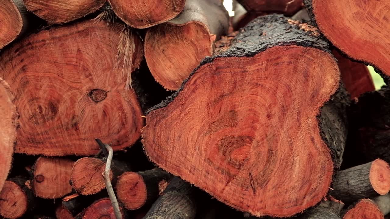 una sartén lenta de una pila de troncos de leña