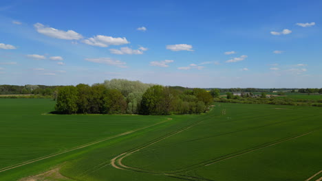 flying over a rural country with dark green fields of young crops