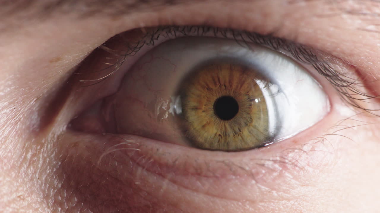 ojo humano de cerca abriendo el iris contrayéndose mirando sorprendido conmocionado extremo