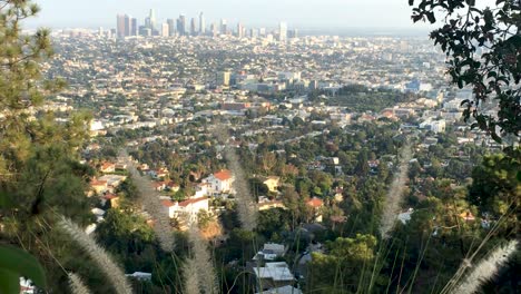 Panorámica-Hasta-El-Centro-De-Los-Ángeles-Desde-Griffith-Park