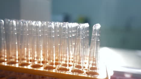medical test tubes with blood tests on the table in the laboratory