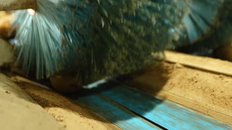 kiwi fruits are being cleaned on a conveyor belt in slow motion inside a factory, showcasing the automated processing line in shaanxi province, china.