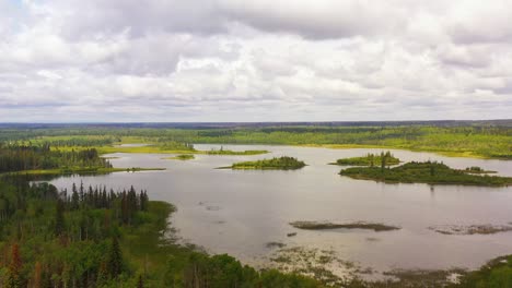 through the wilderness: cariboo highway in 100 mile house