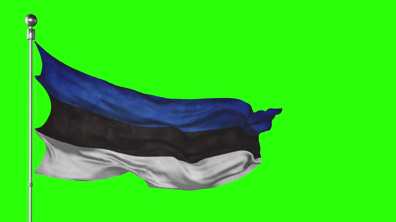 녹색 화면에서 흔들리는 에스토니아 국기. 크로마 키 애니메이션. 에스토니아 정치 일러스트레이션