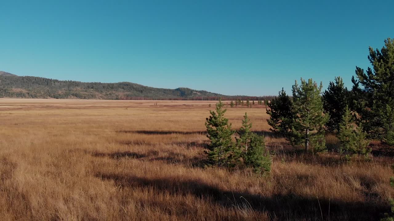 4k drone vuela sobre el campo del país al atardecer en las montañas de dientes de sierra, stanley idaho