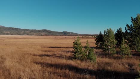 4k drone fly over country field at dusk in the sawtooth mountains, stanley idaho