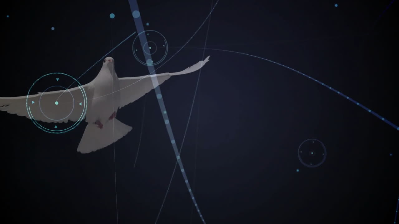 Animation einer weißen Taube, die über digitale Netzwerkverbindungen auf dunklem Hintergrund fliegt