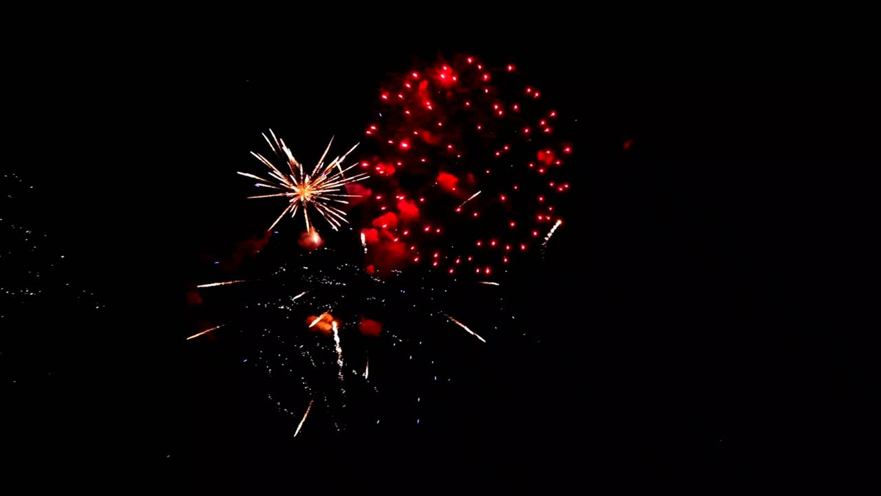 Colorful Fireworks Exploding in the Night Sky
