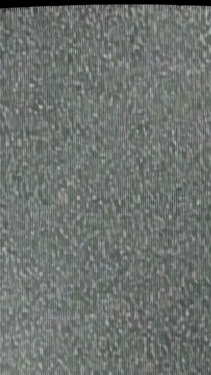Vertical video: Starting playback showing static flickering across grey screen simulating TV noise