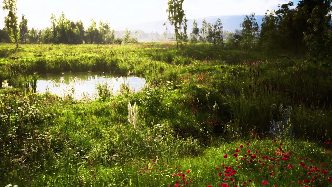 Relaxing waterbody with illuminated shores and diverse plant life